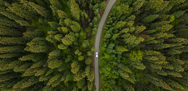 Aerial view looking down at a vehicle driving on a narrow road through a forest.