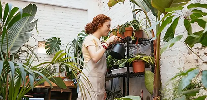 Person watering plants in a greenhouse with various potted greenery around.