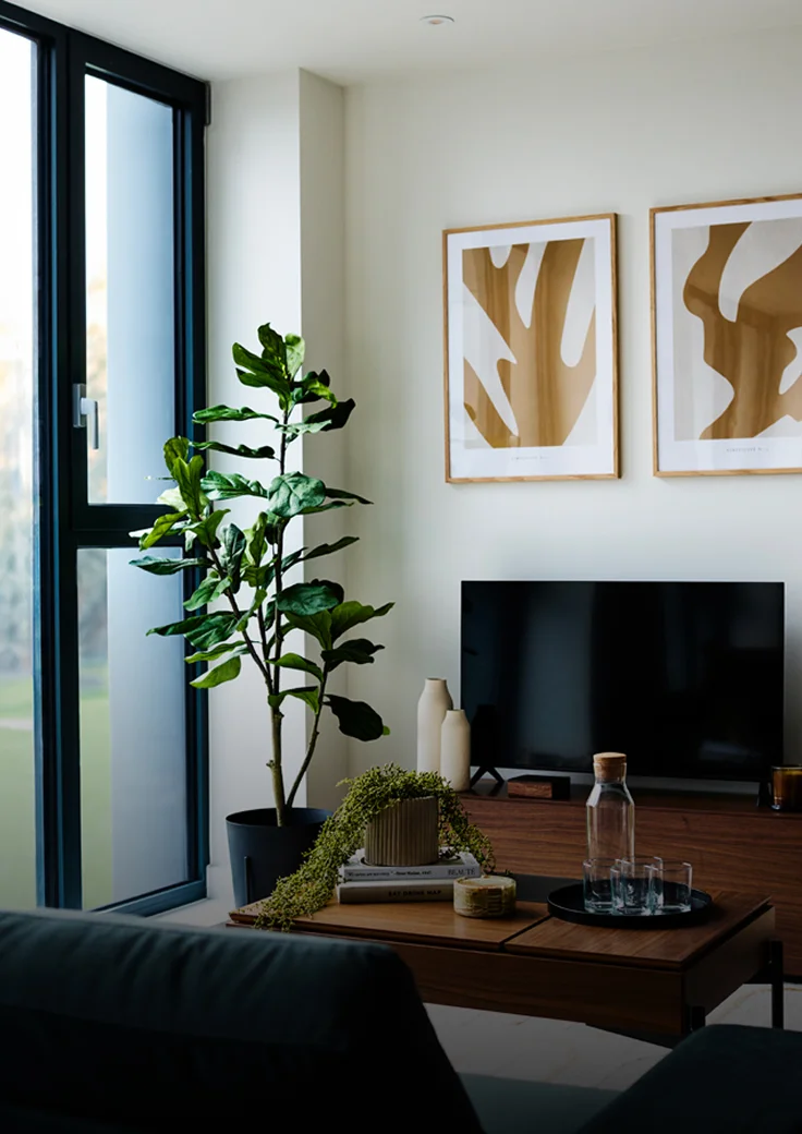 A home interior with house plants in a living room.