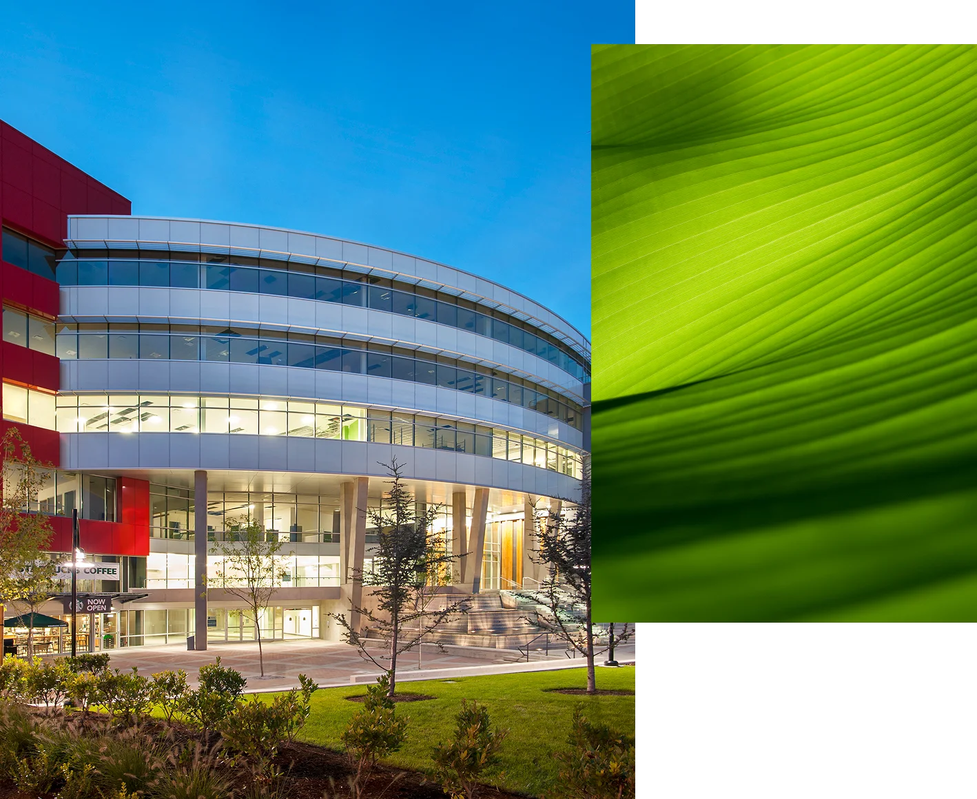 1. A curving modern building with trees and landscaping in the foreground. 2. An abstract image of a green leaf coming into focus.