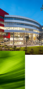 1. A curving modern building with trees and landscaping in the foreground. 2. An abstract image of a green leaf coming into focus. 