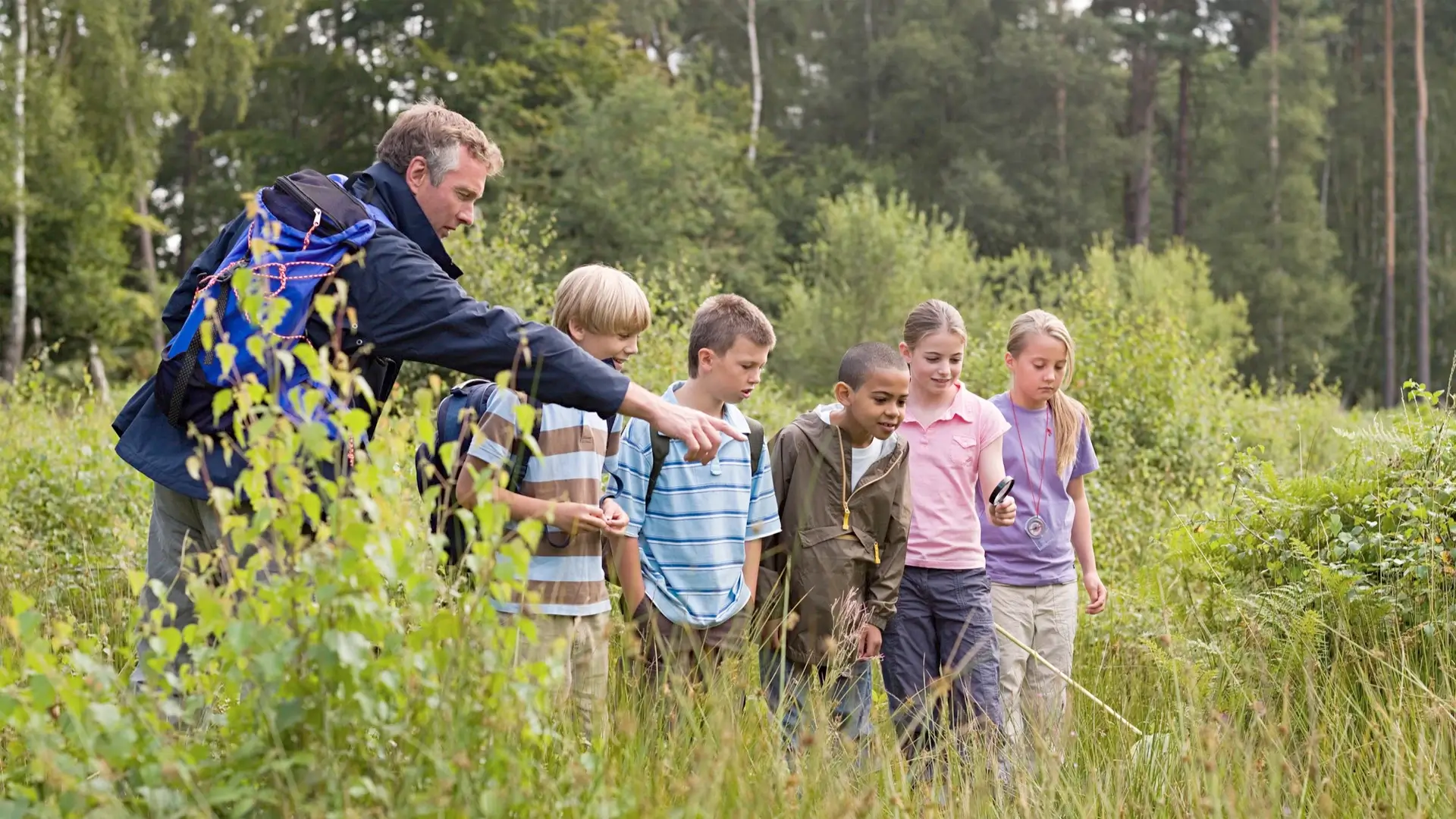 A group of children and an adult are exploring a grassy area in a forest. The adult is pointing at something in the grass while the children observe closely.